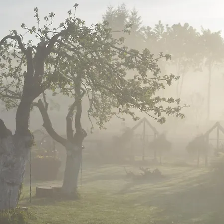 Izba Pod Kasztanem Apartament *